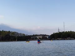 -上海海湾国家森林公园