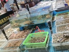 -和源祥·日照菜扛把子(万平口一店)