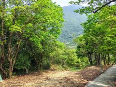 -梧桐山风景名胜区