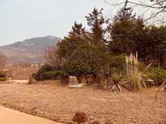 -西海岸生态观光园