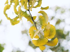 -厦门高崎国际机场-T3航站楼