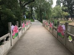 -紫竹院公园冰场