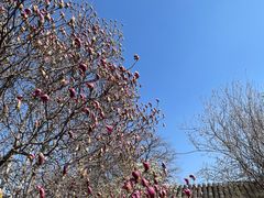 -齐白石旧居纪念馆