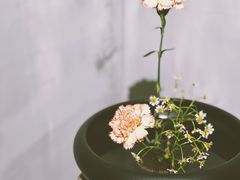 -青竺·青竹茶舍(断桥店)