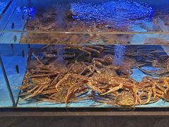 -阿伟海鲜楼·福建菜(延寿店)