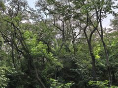 -北岭山森林公园