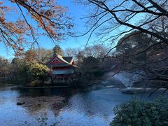 -井之头恩赐公园