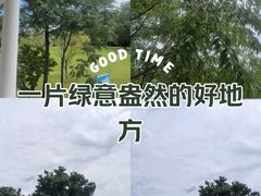 -东方绿舟景区