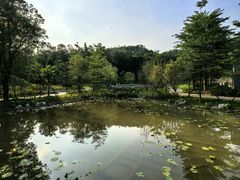 -石溪公园