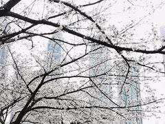 -西北湖绿化广场