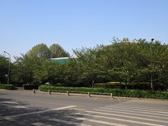 -武汉大学-樱园