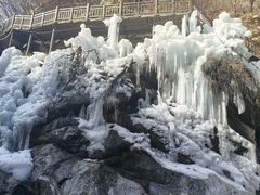 -陕西省红河谷森林公园