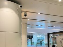 -麦当劳(北京大兴机场二层国内到达(安检外)店)