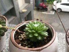 -联合口腔(西环诊所)