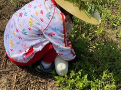 -前小桔亲子创意农场·草莓采摘·露营烧烤