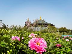 -隋唐洛阳城明堂天堂景区