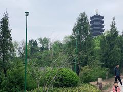 -象山森林公园