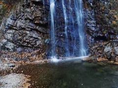 -龙道沟景区