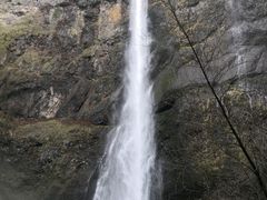-Multnomah Falls Lodge Restaurant