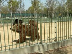 -秦皇岛野生动物园