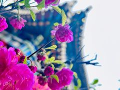-碑林公园