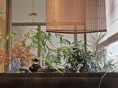 -俏立方·15年新楚菜