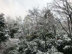 -天目湖御水温泉·度假酒店