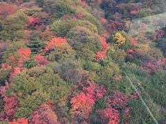 -少华山国家森林公园