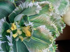 -花邻FloweringLife花艺气球派对(武康大楼店)