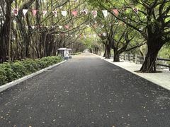 -大湾区中央湿地公园