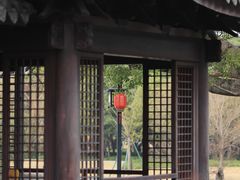 -江心屿景区