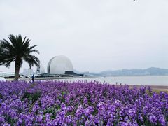 -野狸岛