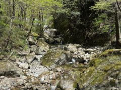 -牛背梁国家森林公园