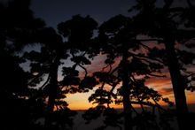 -祁门牯牛降观音堂风景区