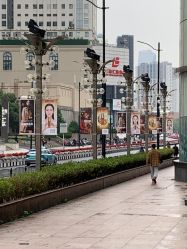 -中国福利会国际和平妇幼保健院(徐汇院区)