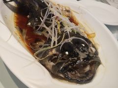 -乌鲁木齐环球国际大酒店