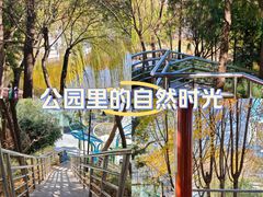 -黄村公园