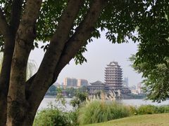 -眉山湿地公园(东坡区)