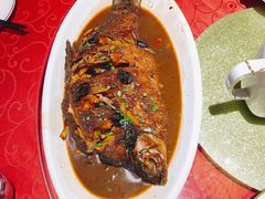 红烧鲫鱼-兴农记