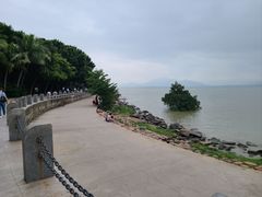 -深圳湾公园(南山区)