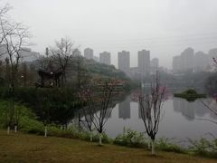 -重庆彩云湖湿地公园