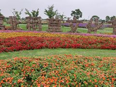 -嘉北郊野公园