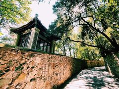 -香山公园