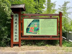 -洛阳市隋唐城遗址植物园