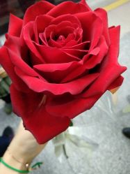 -久匠·纹眉半永久野生眉