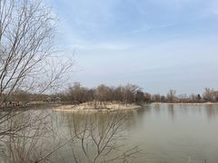 -盐城丹顶鹤湿地生态旅游区