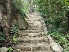 -大岭沟猕猴桃谷风景区