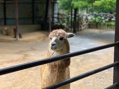 -杭州野生动物世界