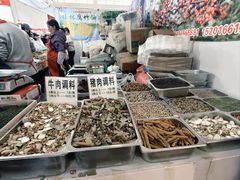 -中国农业博物馆