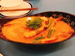 -茉莉.Red Crab